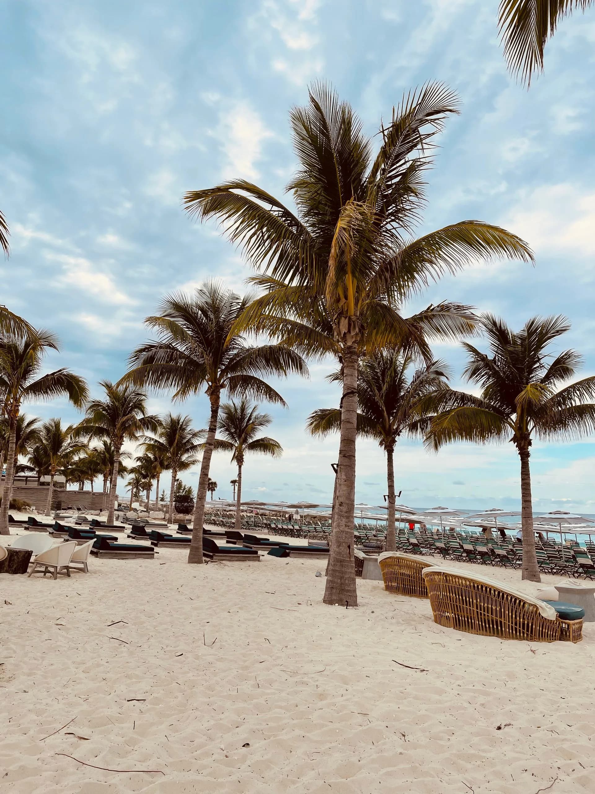 Rows of tall palm trees on a sandy beach with lounge chairs, under a partly cloudy sky